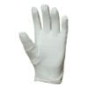 Cotton glove with micro dots, 12/1